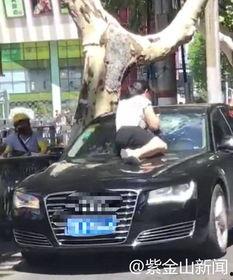 最新吃瓜抓小三视频,揭秘小三视频曝光，剧情反转引热议