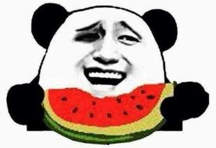 我们只是吃瓜群众视频,一场网络视频的狂欢盛宴